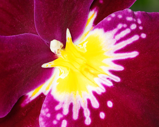 1696098 (a): :3000x2400